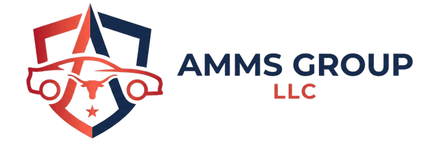 AMMS GROUP LLC